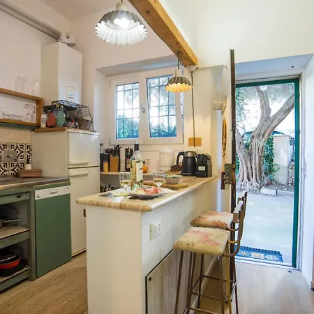 Apartment In The Center Of
