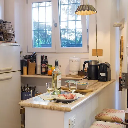 Apartment In The Center Of